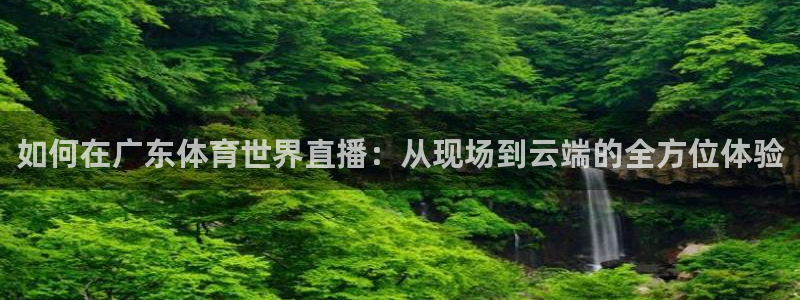 河豚体育nba直播下载：如何在广东体育世界直播：从现场到云端的全方位体验