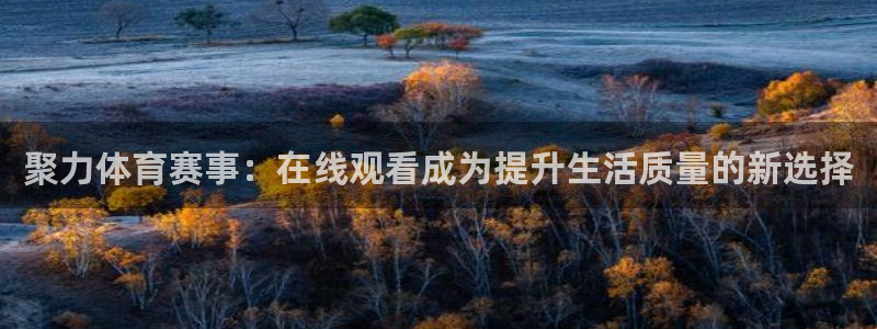河豚直播nba免费观看：聚力体育赛事：在线观看成为提升生活质量的新选择