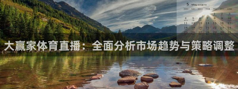 河豚体育直播app官网下载：大赢家体育直播：全面分析市场趋势与策略调整