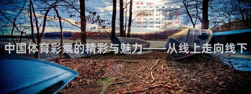 河豚的直播网：中国体育彩票的精彩与魅力——从线上走向线下