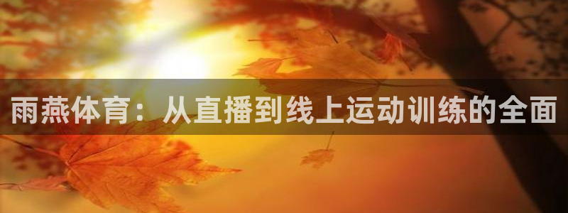 河豚搞笑：雨燕体育：从直播到线上运动训练的全面