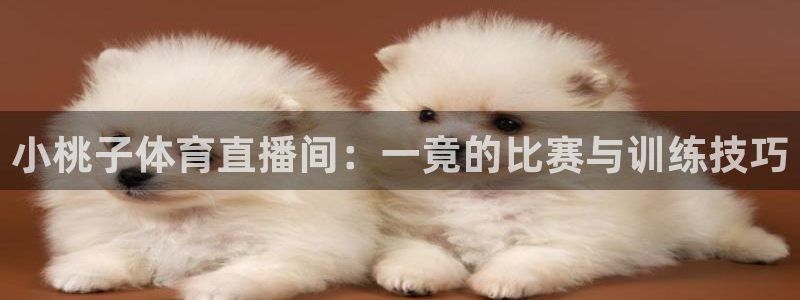 河豚体育直播在线播放：小桃子体育直播间：一竟的比赛与训练技巧