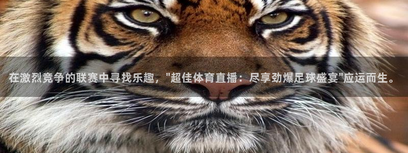 河豚足球直播：在激烈竞争的联赛中寻找乐趣，\