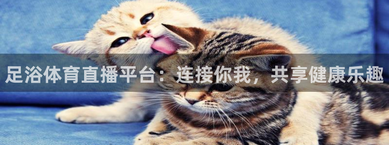 河豚体育nba直播在线观看：足浴体育直播平台：连接你我，共享健康乐趣