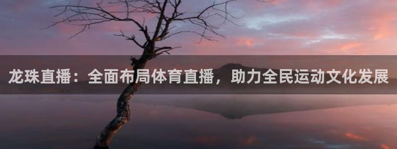 河豚体育直播免费：龙珠直播：全面布局体育直播，助力全民运动文化发展