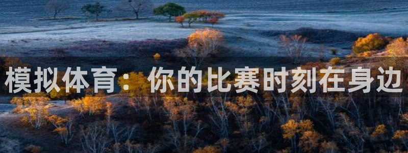 河豚体育直播下载：模拟体育：你的比赛时刻在身边