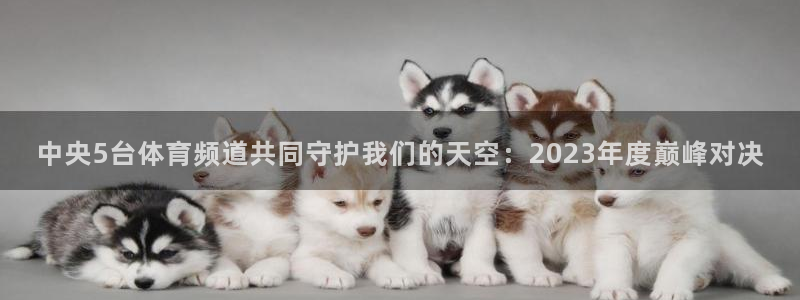 河豚足球比赛直播：中央5台体育频道共同守护我们的天空：2023年度巅峰对决