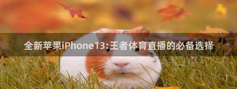 河豚体育直播免费观看：全新苹果iPhone13:王者体育直播的必备选择