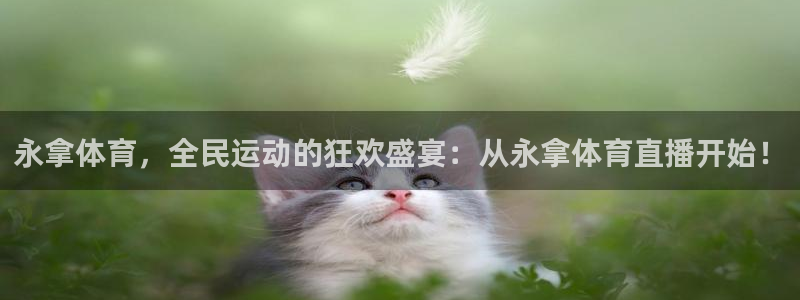 河豚足球直播：永拿体育，全民运动的狂欢盛宴：从永拿体育直播开始！
