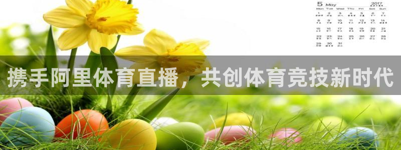 河豚足球体育直播：携手阿里体育直播，共创体育竞技新时代